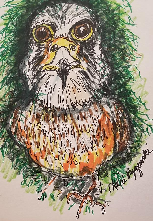 Michigan Falcon Drawing
