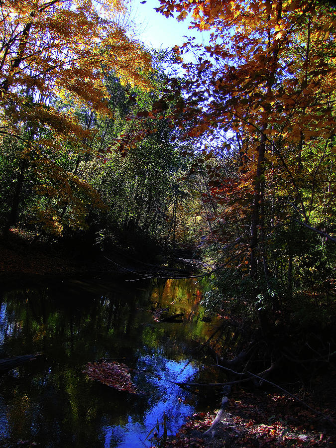 Michigan Fall Colors 3  Photograph by Scott Hovind