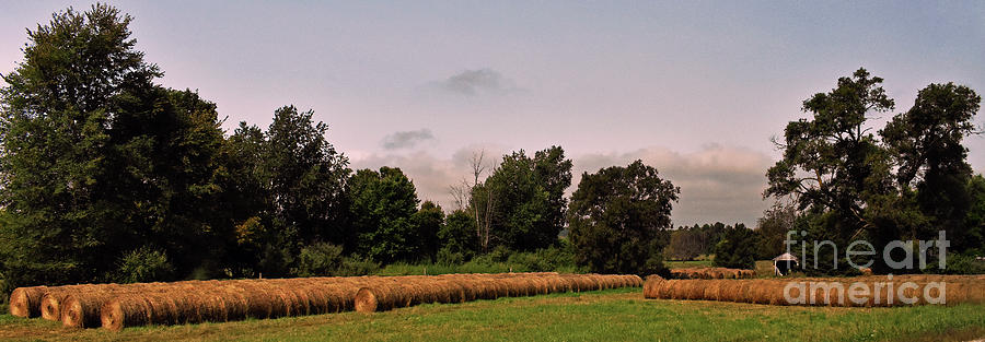 Michigan Hay Photograph by Lydia Holly