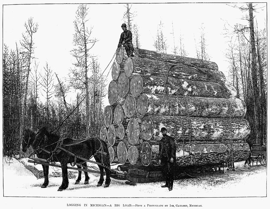 Michigan: Lumbering Photograph by Granger