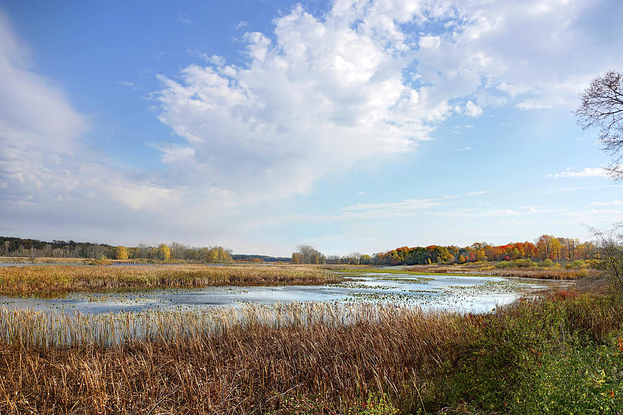 Michigan Marshland Photograph by Kathi Mirto