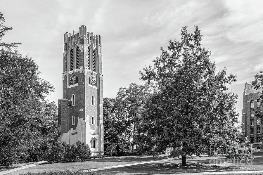 Michigan State University Beaumont Tower Landscape Photograph by University Icons