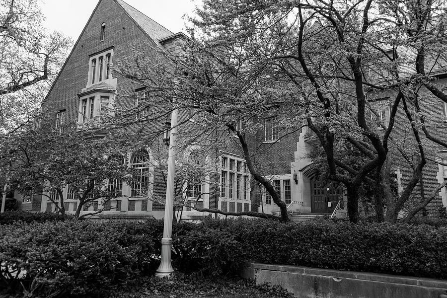 Michigan State University Spring 2 Photograph by John McGraw