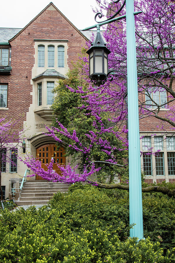 Michigan State University Spring 3 Photograph by John McGraw - Pixels