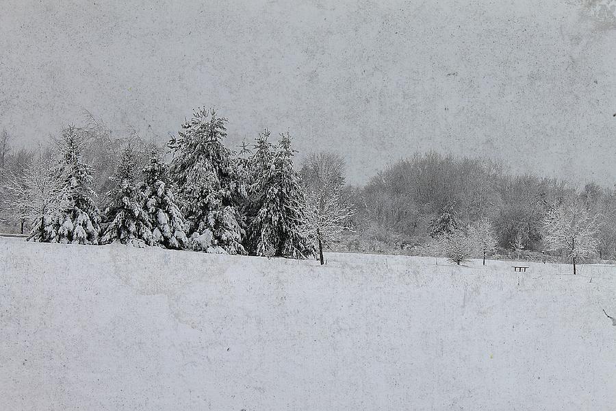 Michigan Winter 16 Photograph by Scott Hovind
