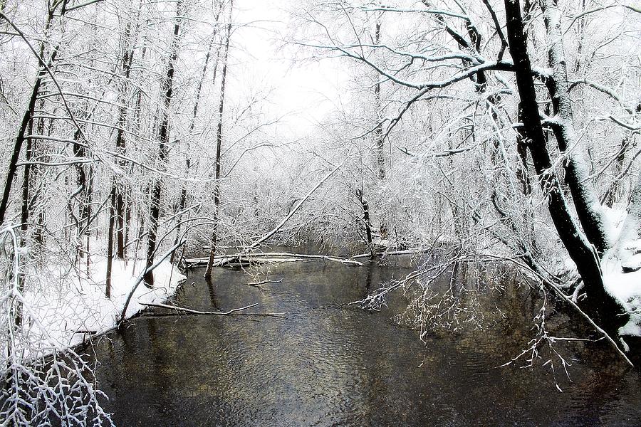 Michigan Winter 17 Photograph by Scott Hovind