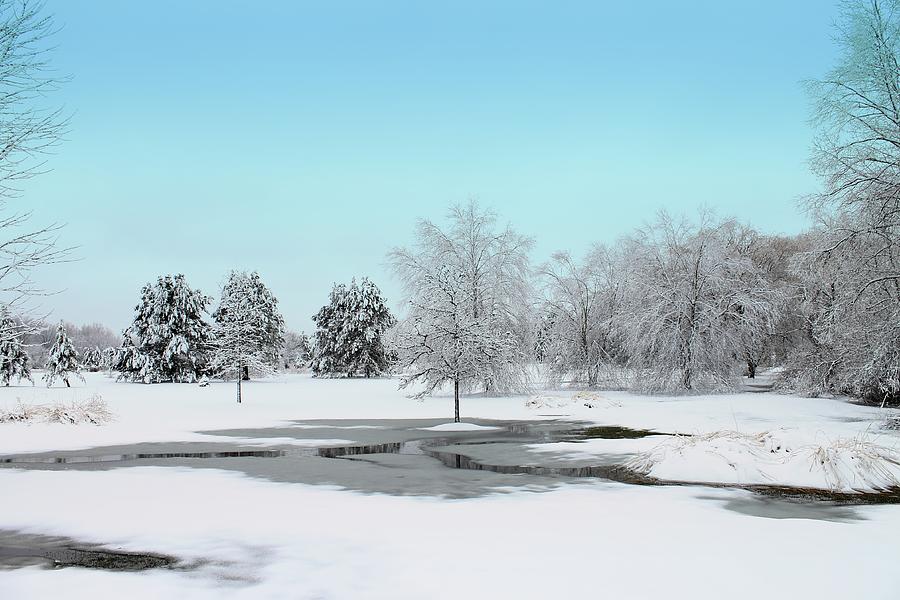 Michigan Winter 2 Photograph by Scott Hovind