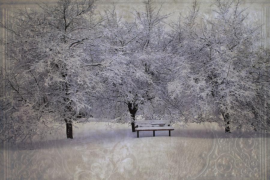 Michigan Winter 4 Photograph by Scott Hovind