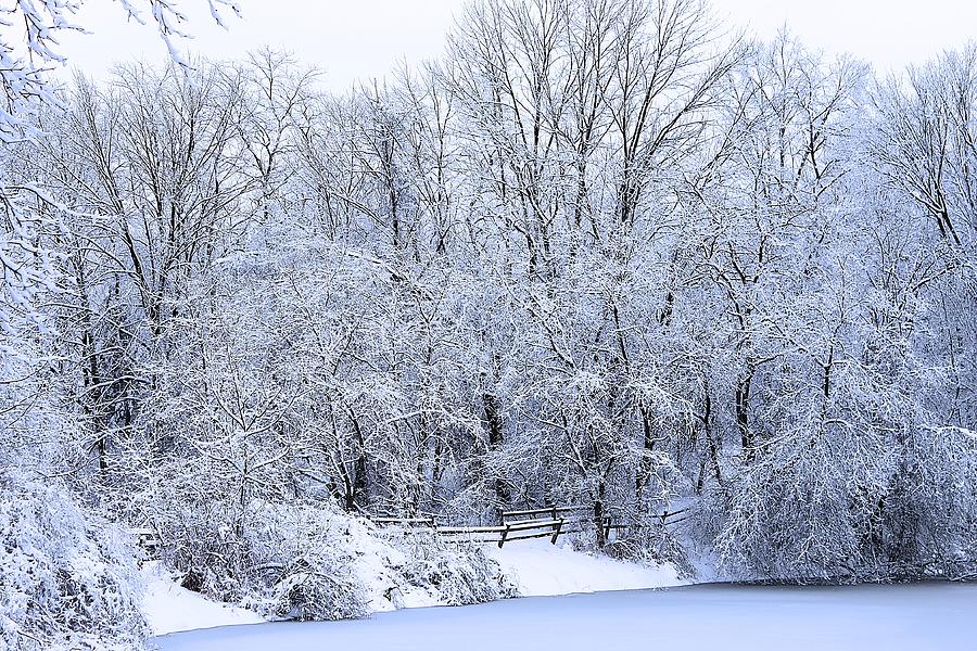 Michigan Winter 5 Photograph by Scott Hovind