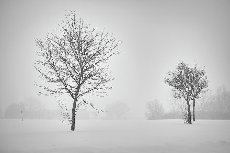 Winter Photograph - Michigan winter by Maxwell Dziku Winter Photograph - Michigan winter by Maxwell Dziku