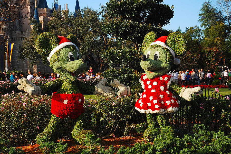 Mickey and Minnie at Christmas Photograph by James Kirkikis