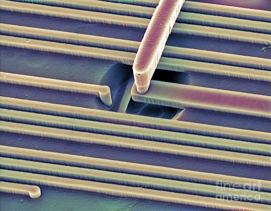 Science Photograph - Microchip, Sem by Gary D Gaugler