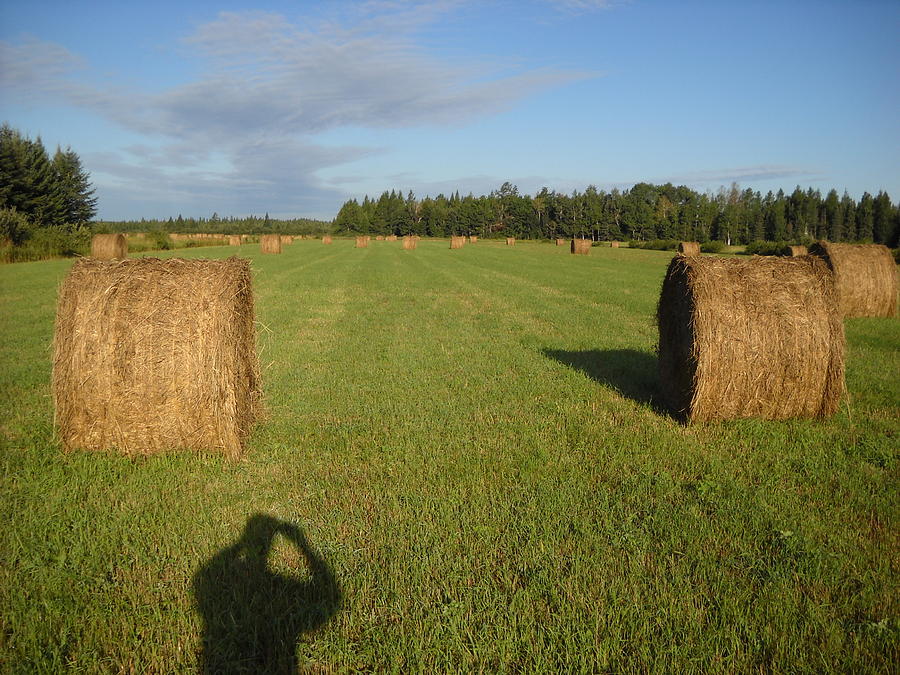 Mid August Hay Bales and Field Photograph by Kent Lorentzen