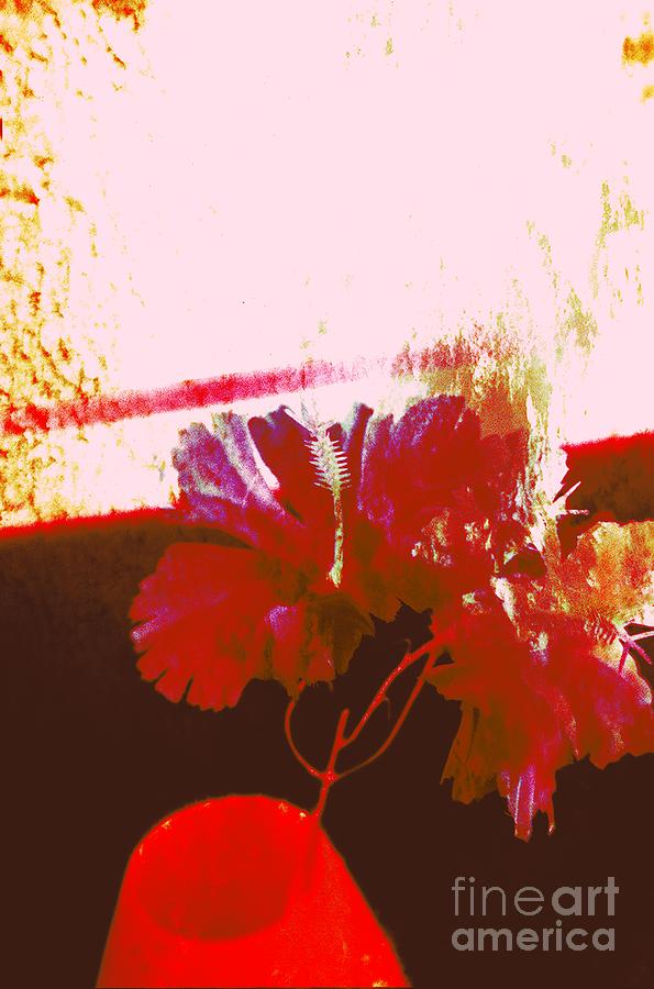 Color Photograph - Mid-day Haze by Ash Soomro-Irani Color Photograph - Mid-day Haze by Ash Soomro-Irani
