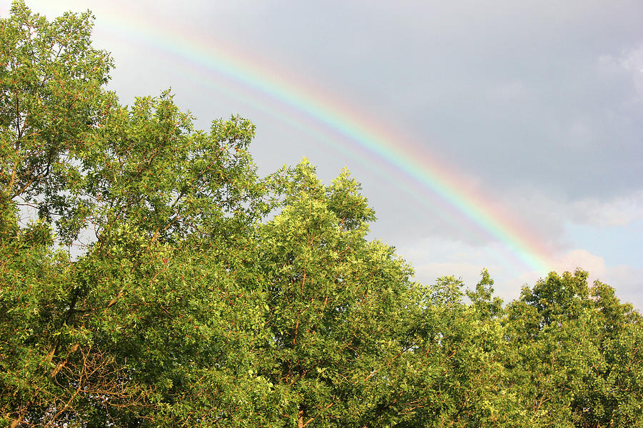 Mid Day Rainbow Photograph by Mary Bedy