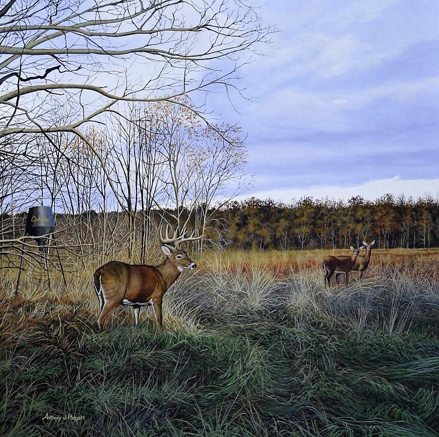 Deer Painting - Take Out - Deer by Anthony J Padgett