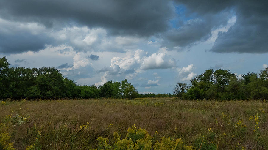 Mid-Grass Prairie Before a Rain Photograph by David Drew
