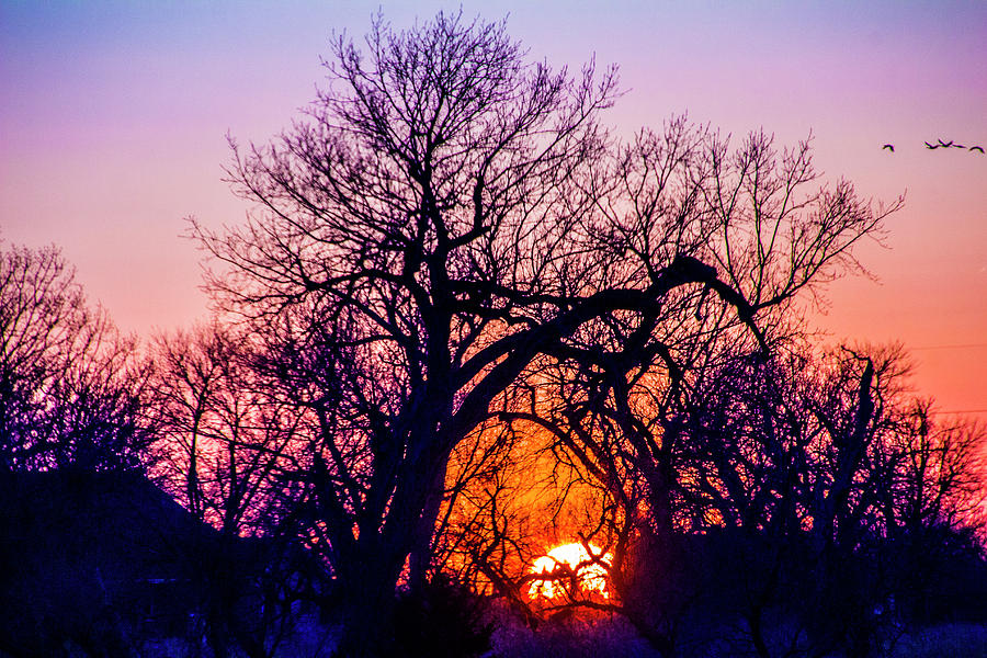 Mid March Nebraska Sunset 014 Photograph by NebraskaSC