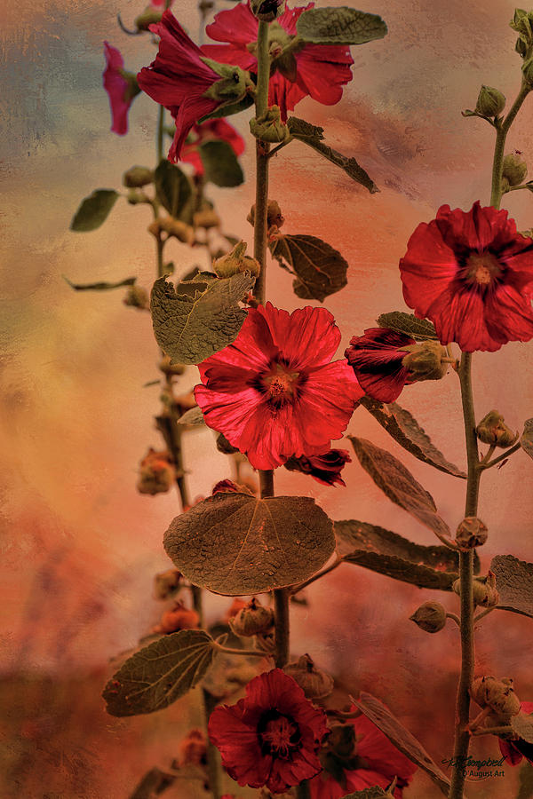 Flower Digital Art - Mid-Summer Hollyhocks by Theresa Campbell