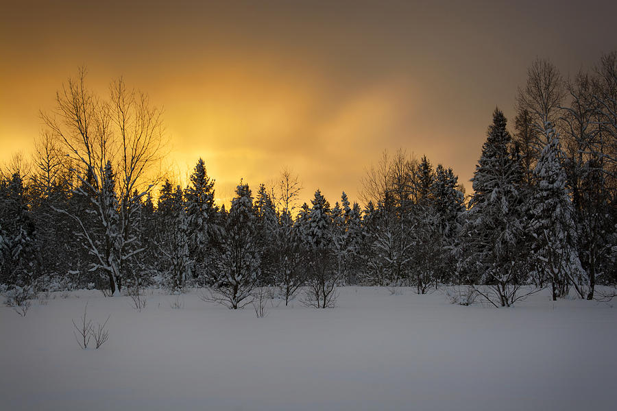 Mid-winter glow Photograph by Dan Hefle