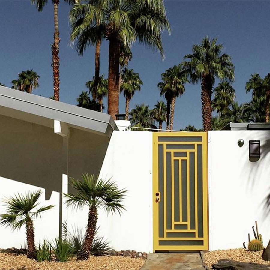 Mcm Photograph - Midcentury Modern, Twin Palms by Ginger Oppenheimer