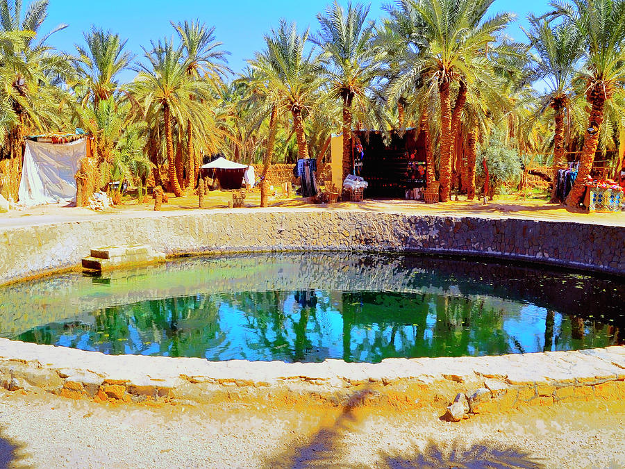 Midday at the Oasis Photograph by Dominic Piperata