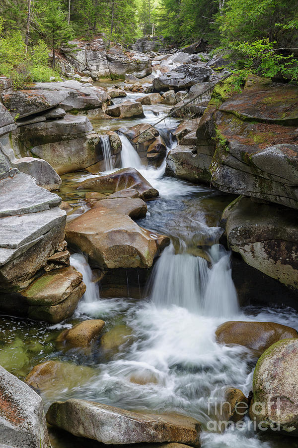 Middle Ammonoosuc Falls - Crawfords Purchase, New Hampshire  Photograph by Erin Paul Donovan
