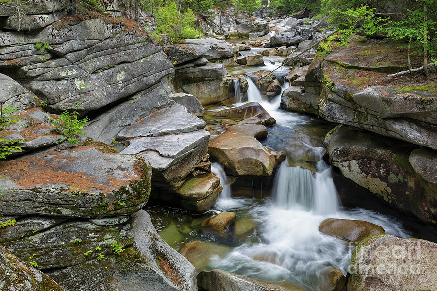 Nature Photograph - Middle Ammonoosuc Falls - White Mountains, New Hampshire by Erin Paul Donovan