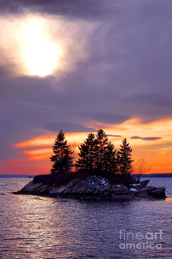 Tree Photograph - Middle Bay Island  by Olivier Le Queinec