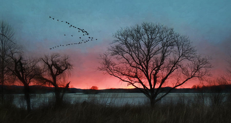 Middle Creek Sunrise 4 Photograph by Lori Deiter