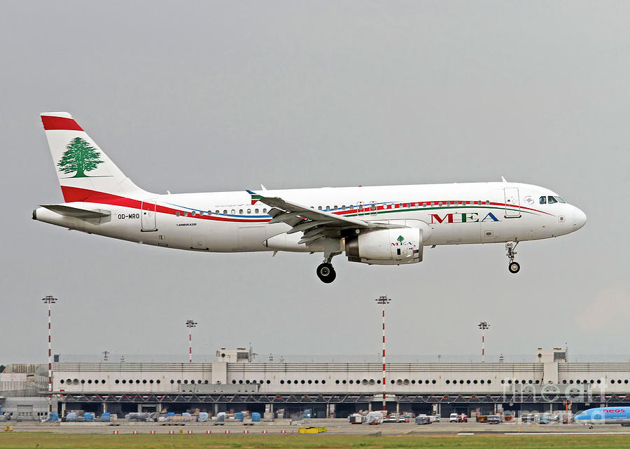 Transportation Photograph - Middle East Airlines Airbus A320-232  by Amos Dor