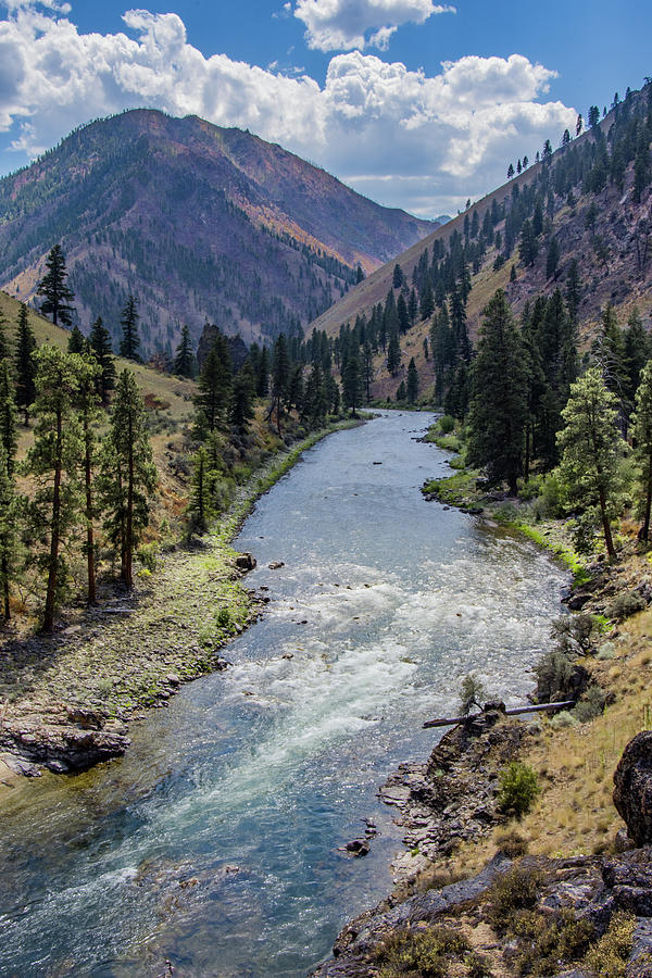 Middle Fork of the Salmon below Loon Creek Photograph by Link Jackson