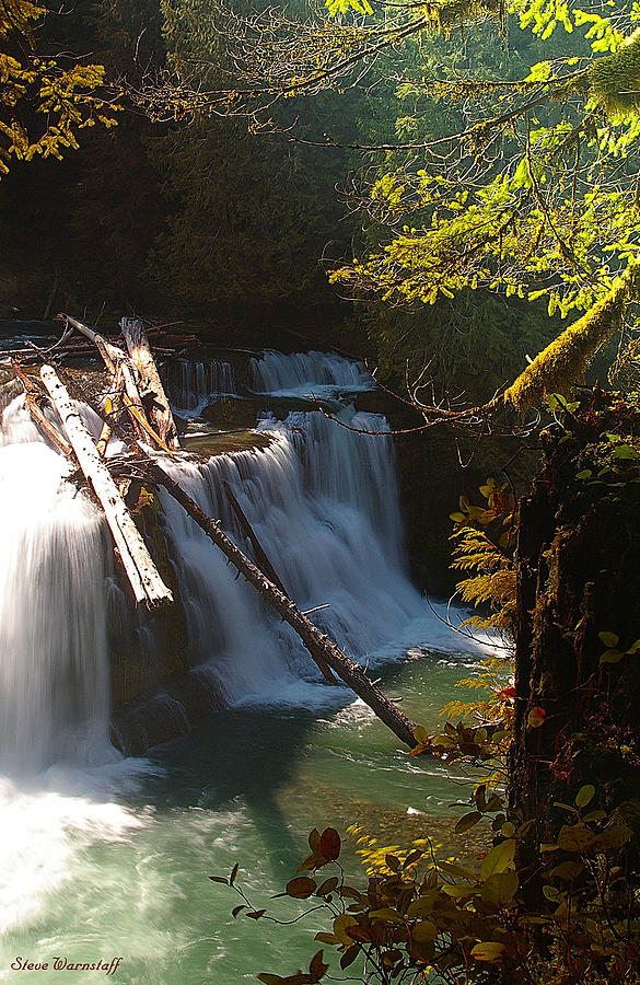 Middle Lewis River Falls 3 Photograph by Steve Warnstaff