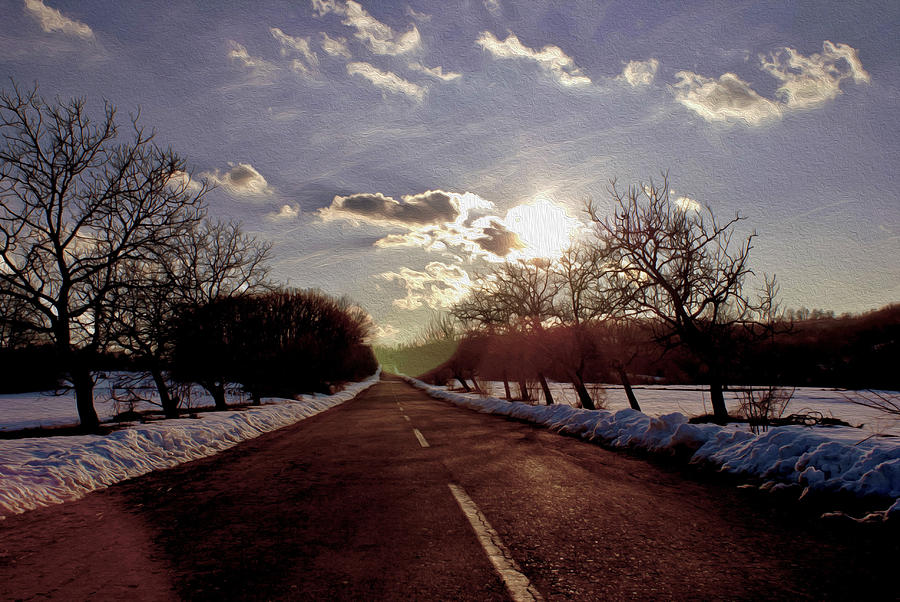 Nature Photograph - Middle of the road by Milan Mirkovic