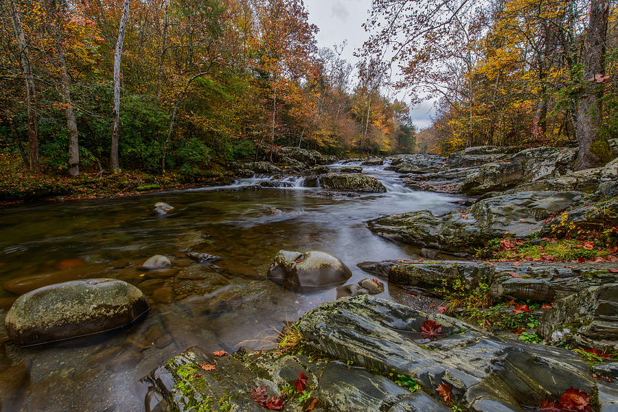 Middle Prong, Little Pigeon River Photograph