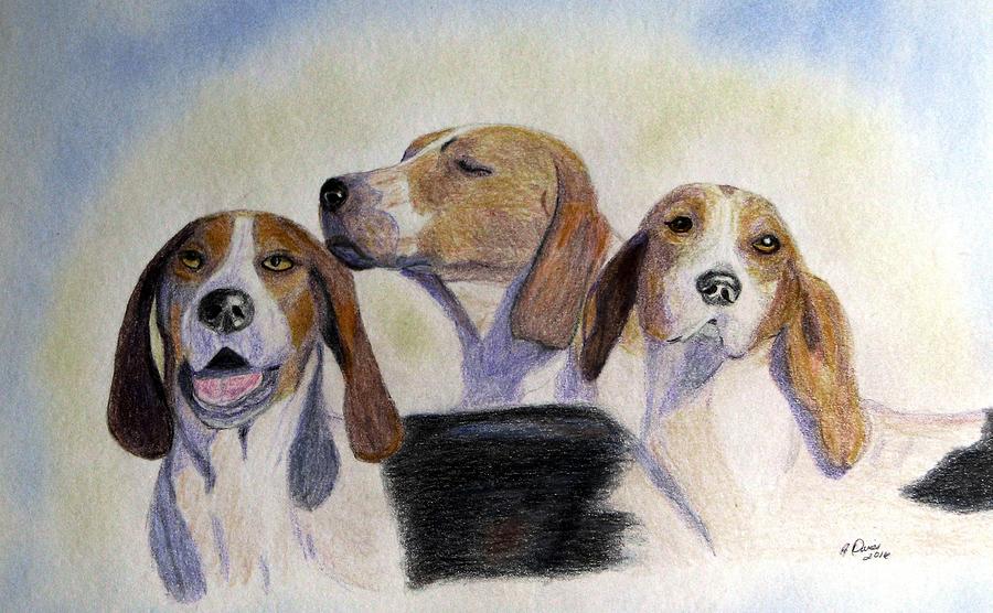 Middleburg Hounds Drawing by Angela Davies