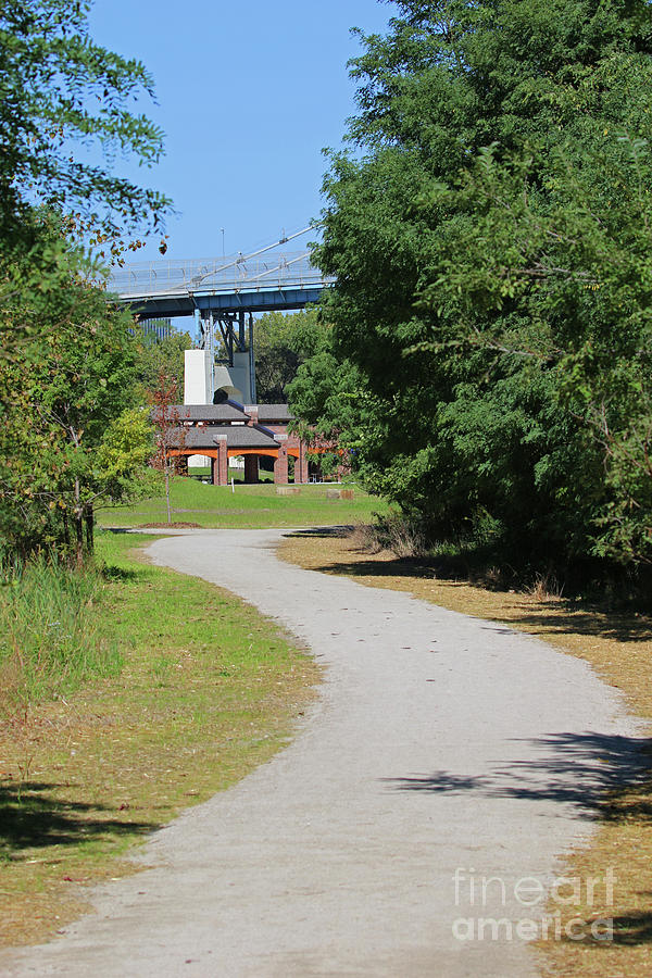 Middlegrounds Path  5641 Photograph by Jack Schultz