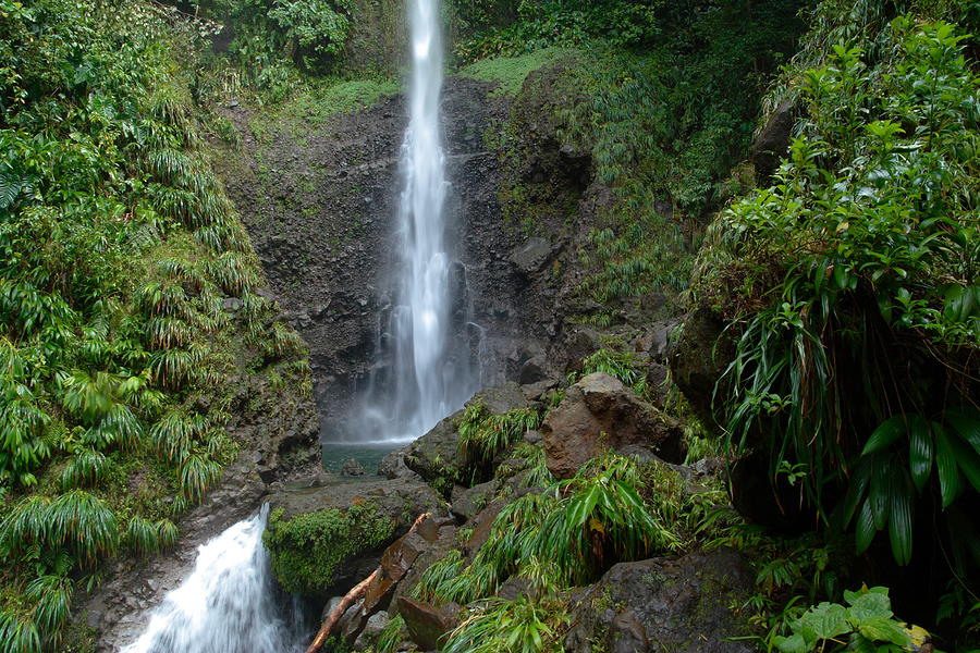 Middleham Waterfall in Dominica Photograph by Tropical Ties Dominica