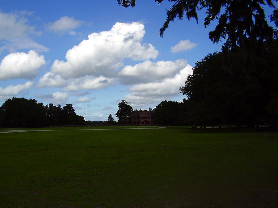 Middleton Place Photograph by Flavia Westerwelle