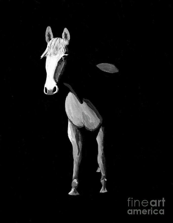 Midnight Beauty - black and white horse by Tracey Everington Midnight Beauty - black and white horse by Tracey Everington