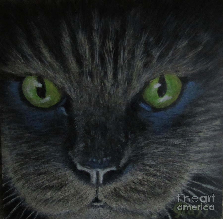 Cat Painting - Midnight Creeper by Tina Glass