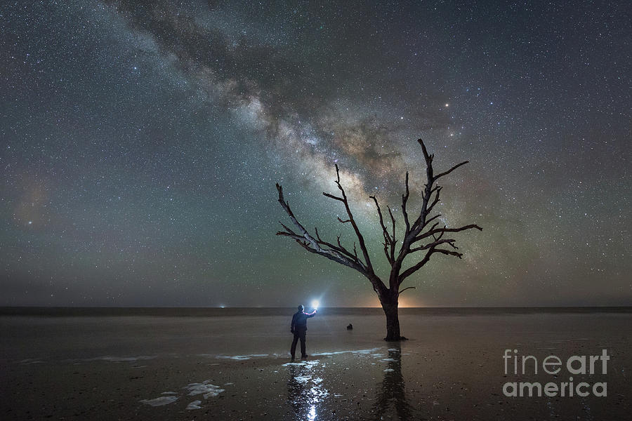 Midnight Explorer At Botany Bay Beach Photograph by Michael Ver Sprill