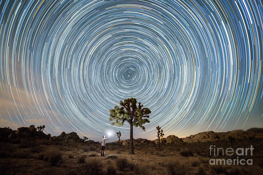 Midnight Explorer Finding Joshua Tree Star Trails Photograph by Michael Ver Sprill