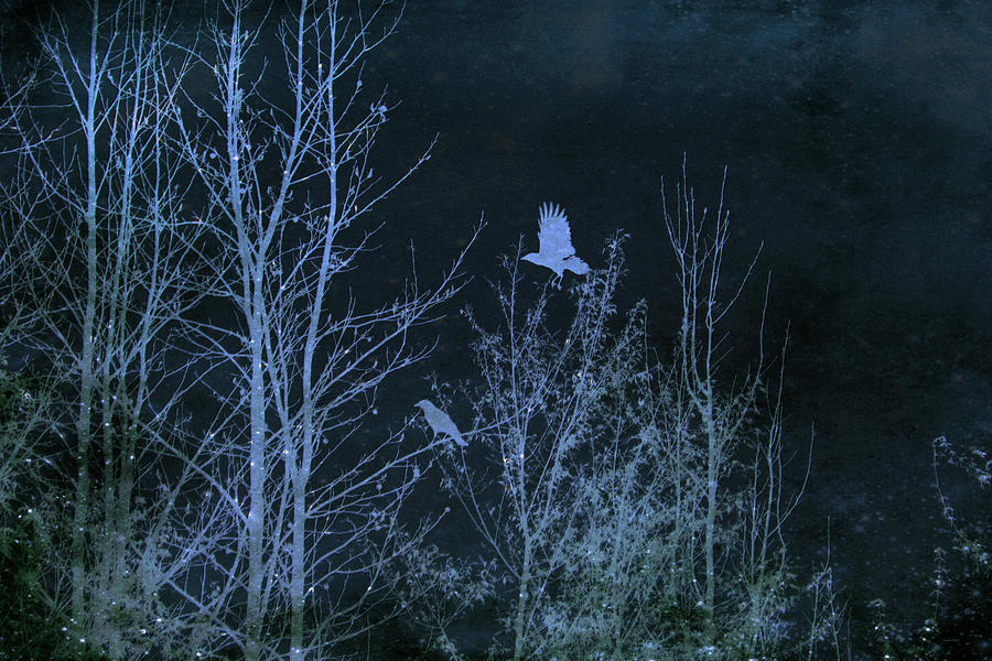 Midnight Flight Silhouette Blue Mixed Media by Lesa Fine