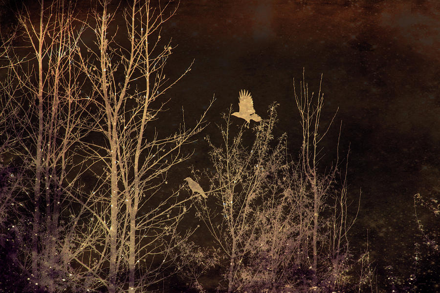 Crow Mixed Media - Midnight Flight Silhouette by Lesa Fine