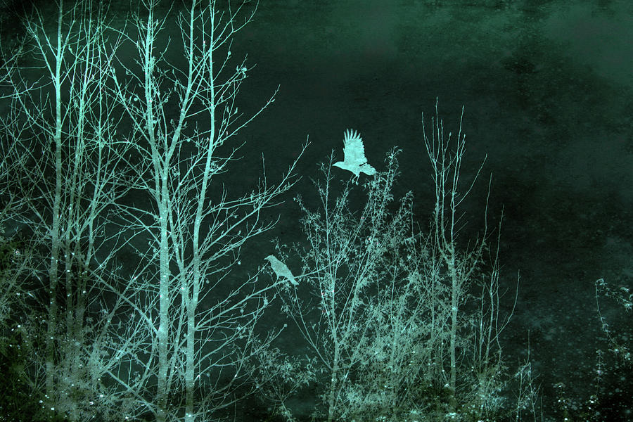 Midnight Flight Silhouette Teal Mixed Media by Lesa Fine