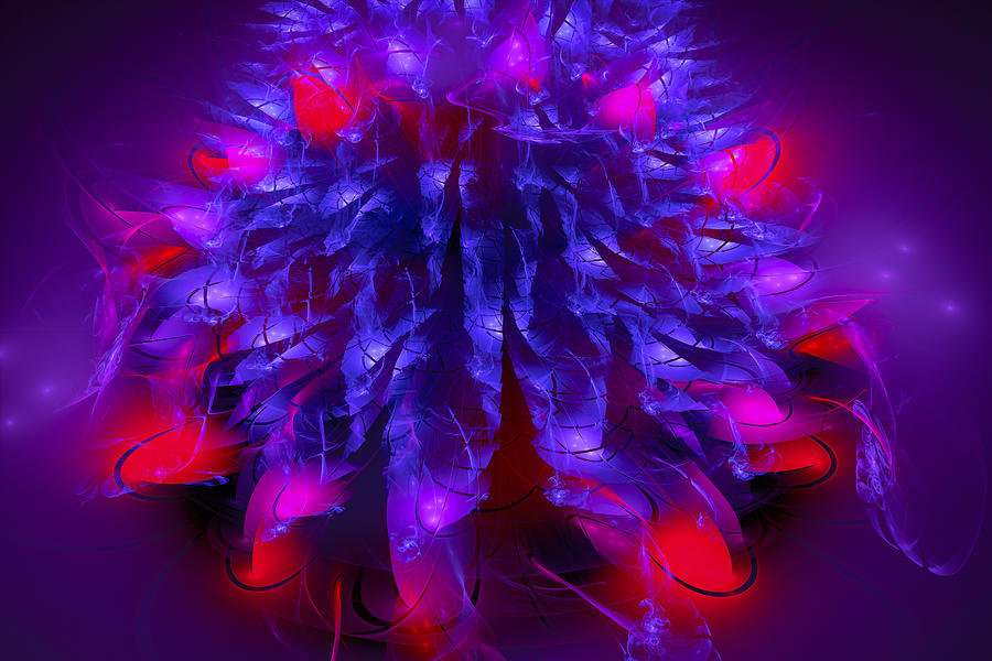 Abstract Digital Art - Midnight flower blue and red fractal art by Matthias Hauser