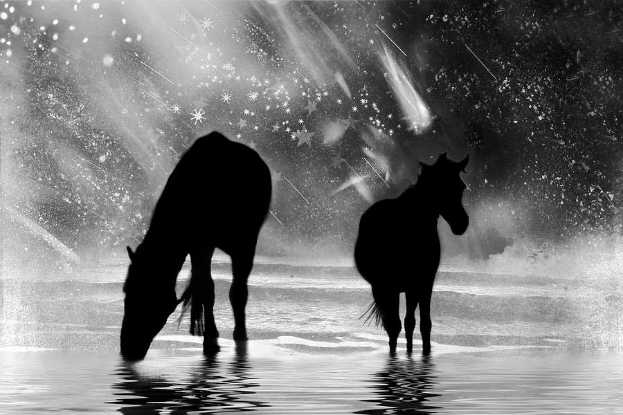 Midnight Horses at the Beach Black and White Photograph by Peggy Collins