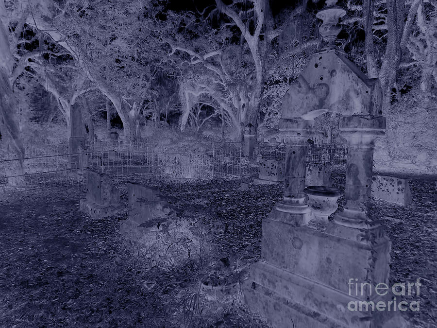 Midnight In The Grave Yard Photograph by D Hackett