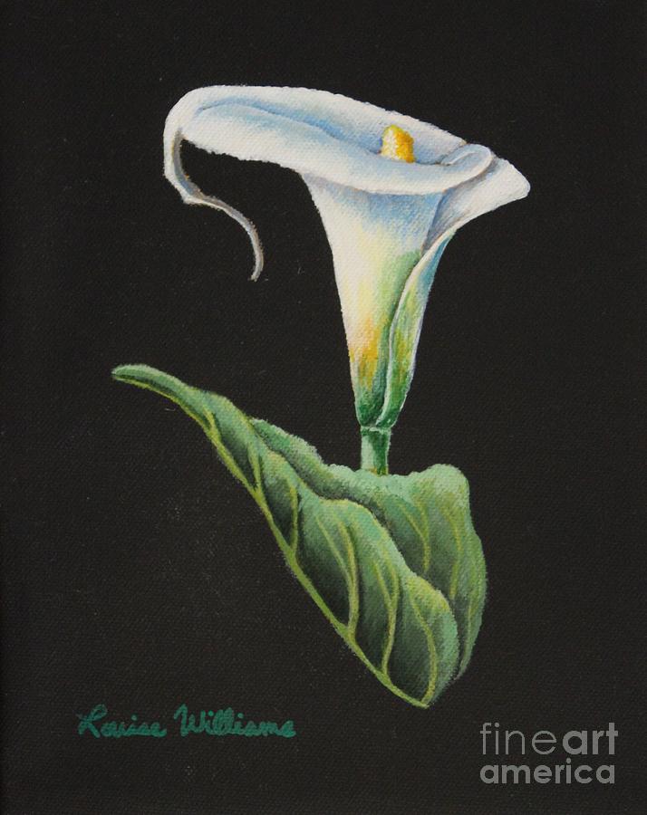Calla Lily Painting - Midnight Lilly by Louise Williams Calla Lily Painting - Midnight Lilly by Louise Williams
